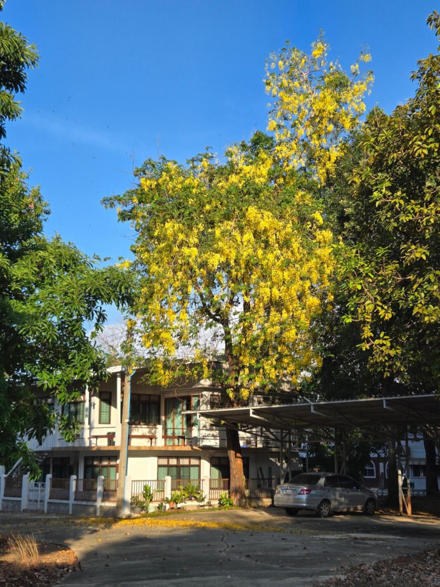 Whales Come To The River - Riverside - 3 Rooms On 2Nd Floor Ban Bang Phli Nua ภายนอก รูปภาพ